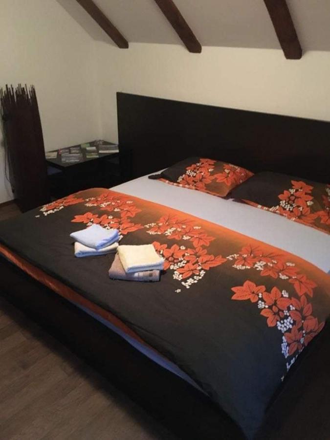 Apartmaji Velikonja Ajdovščina エクステリア 写真