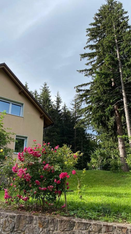 Apartmaji Velikonja Ajdovščina エクステリア 写真