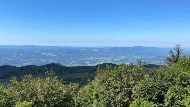 Apartmaji Velikonja Ajdovščina エクステリア 写真