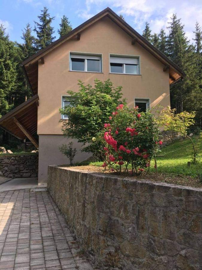 Apartmaji Velikonja Ajdovščina エクステリア 写真