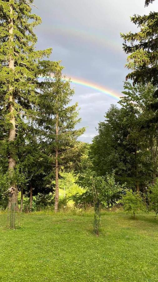 Apartmaji Velikonja Ajdovščina エクステリア 写真