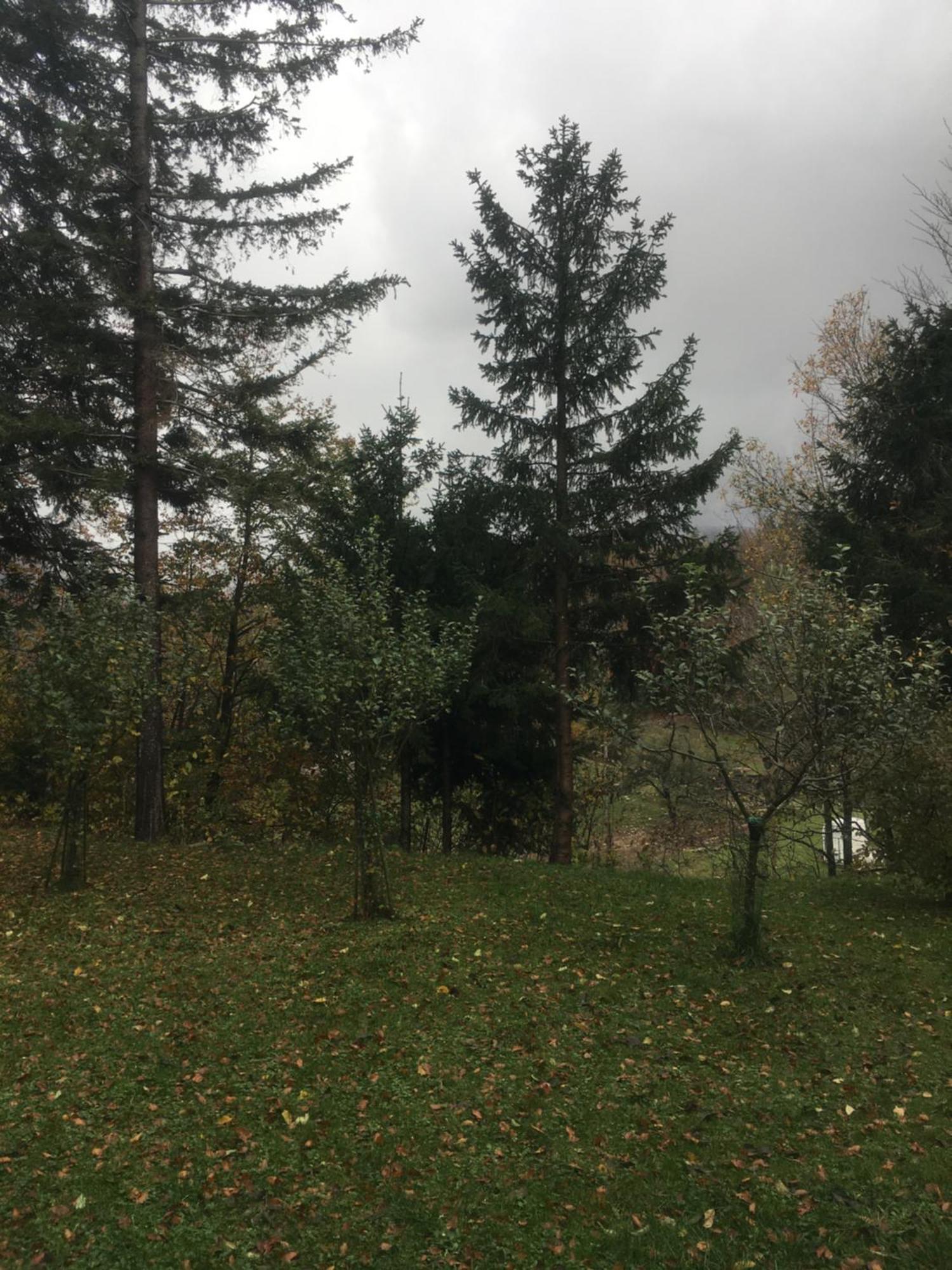 Apartmaji Velikonja Ajdovščina エクステリア 写真