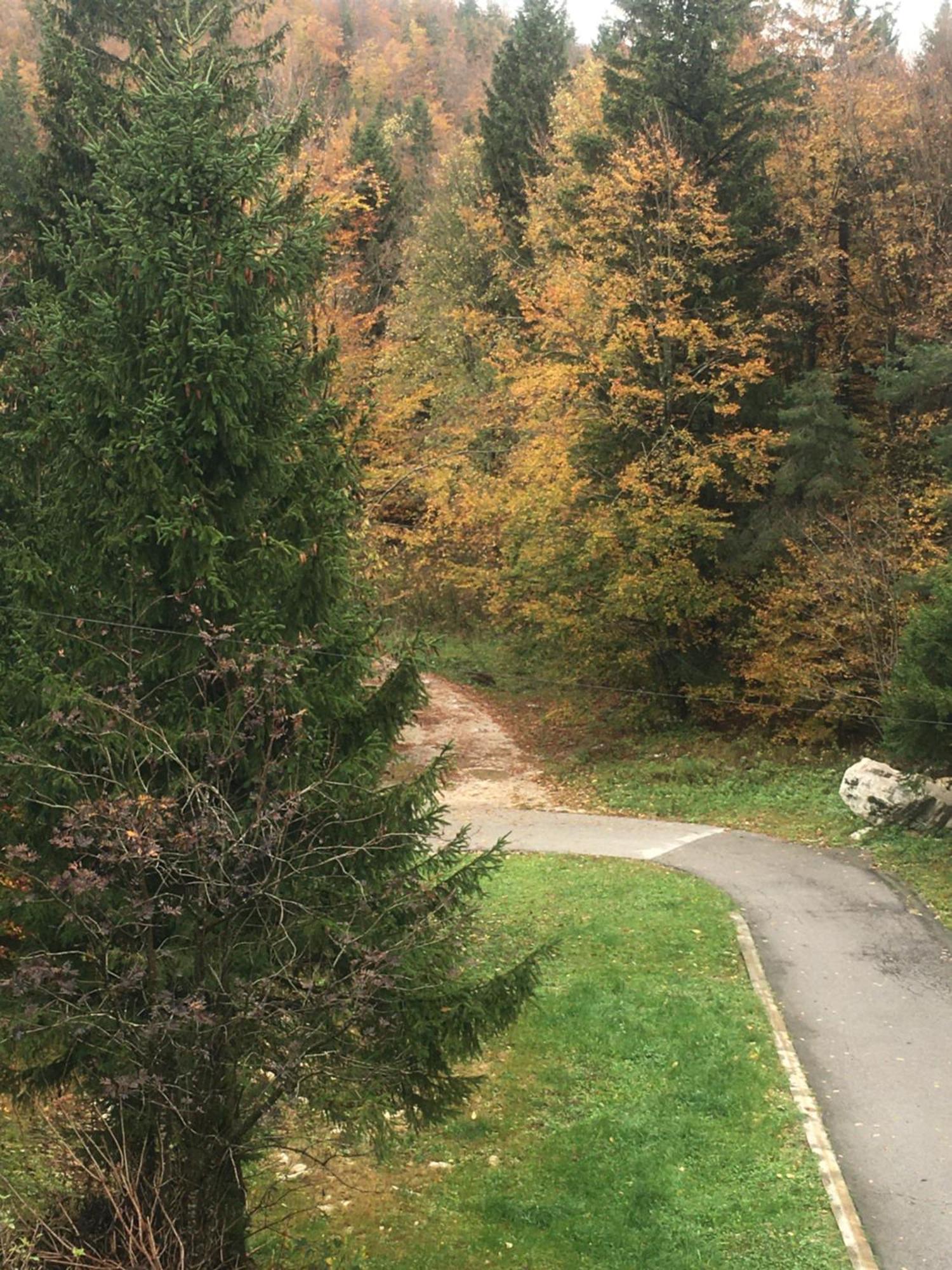 Apartmaji Velikonja Ajdovščina エクステリア 写真